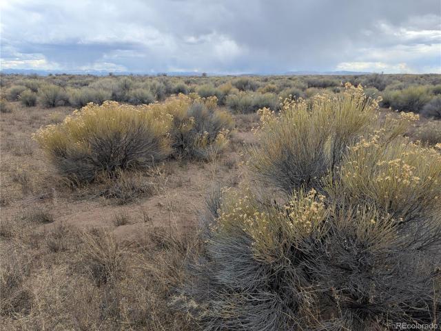 Land for sale in Alamosa