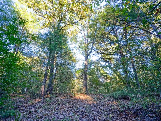 Land for sale in Teague, Texas