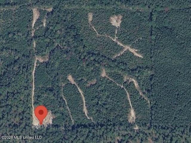 Land for sale in Beaumont, Mississippi