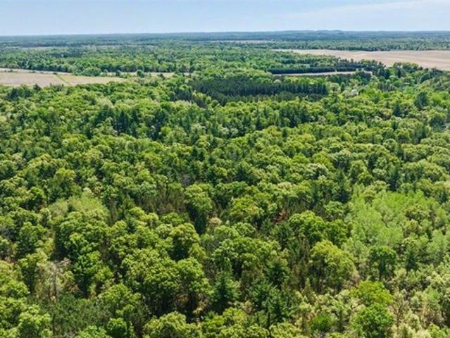 Land for sale in Friendship, Wisconsin