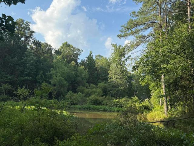 Land for sale in Mount Olive, Mississippi