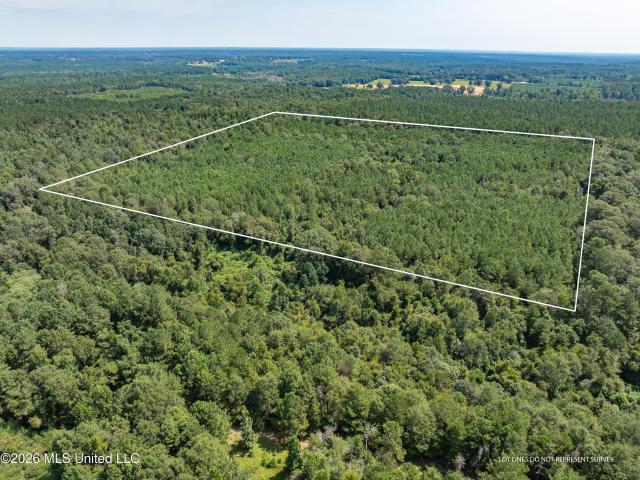 Land for sale in Collins, Mississippi