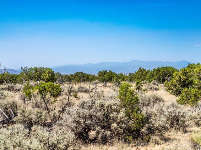 Land for sale in New Mexico