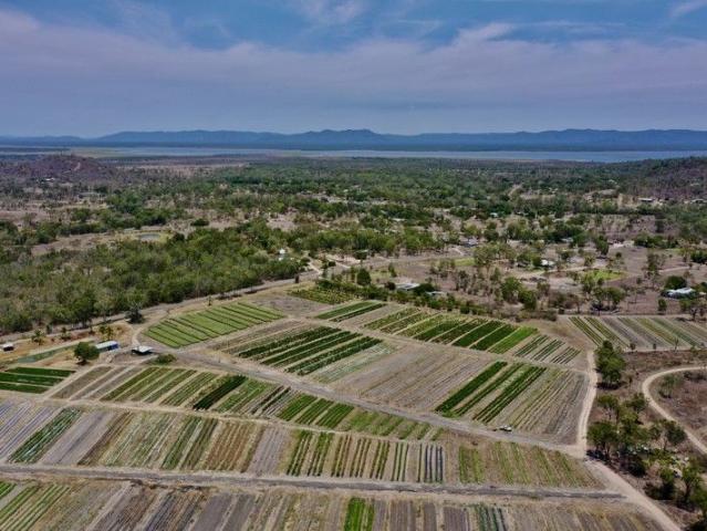 Cottage for sale in Oak Valley, Queensland