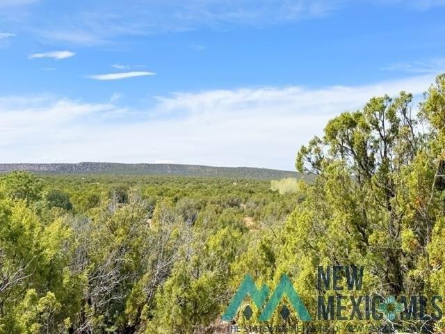 Land for sale in Ribera, New Mexico