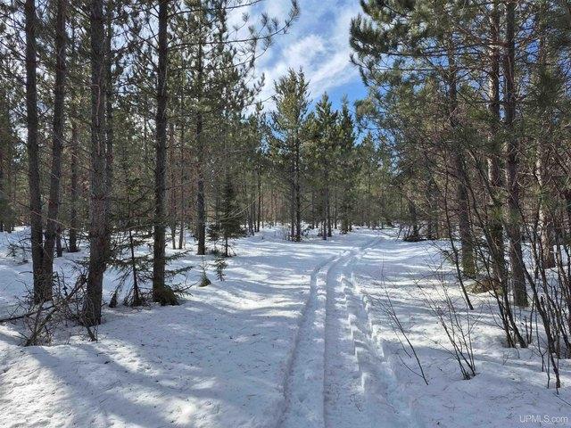 Land for sale in Champion, Michigan