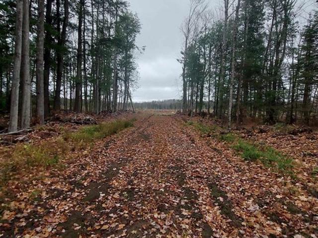 Land for sale in Marquette, Michigan