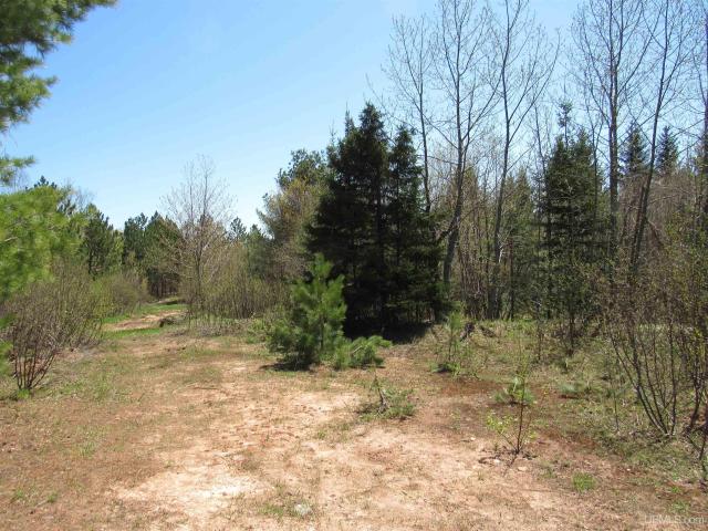 Land for sale in Michigan