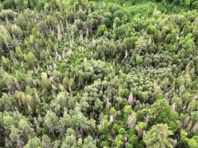 Land for sale in Michigan