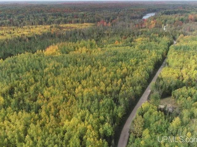 Land for sale in Rock, Maple Ridge Township