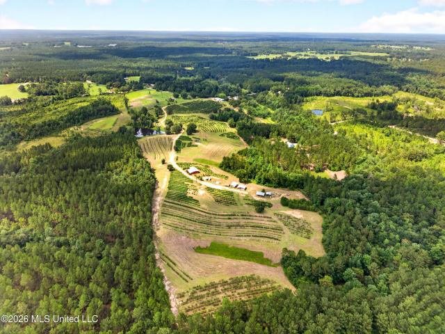 Land for sale in Poplarville, Pearl River County