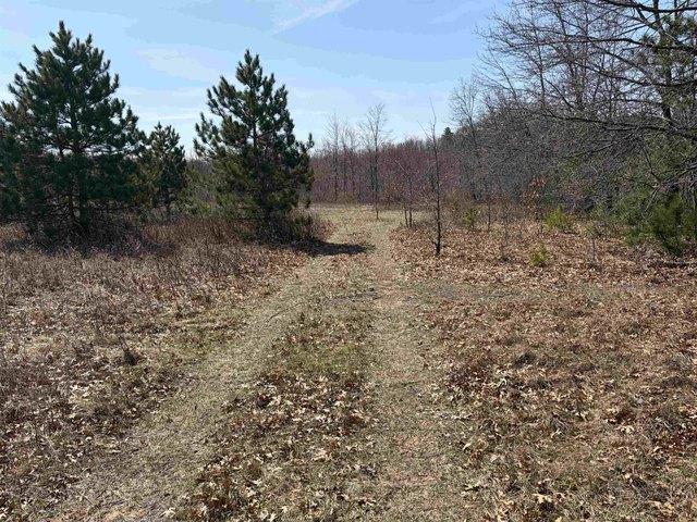 Land for sale in Juneau, Wisconsin