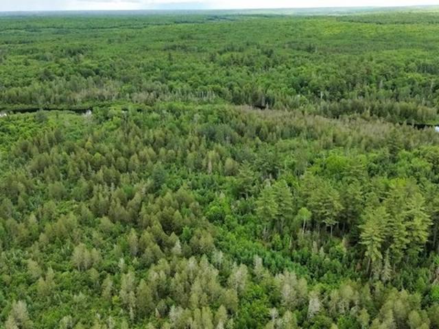 Land for sale in Amasa, Michigan