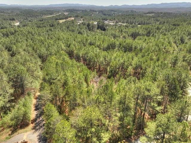 Land for sale in Tennessee