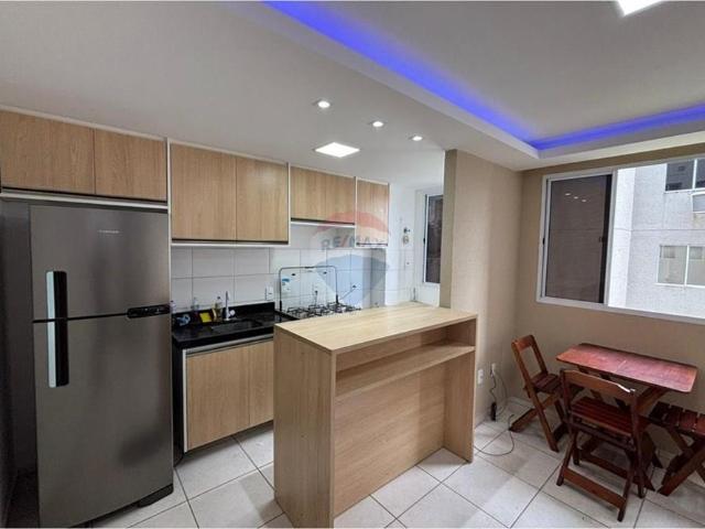 Apartamento aluguel em Região Geográfica Imediata do Recife, Região Metropolitana do Recife