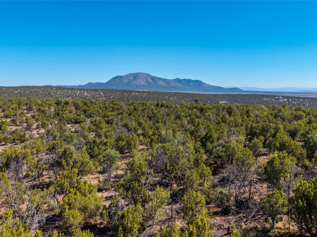 Land for sale in Edgewood, New Mexico