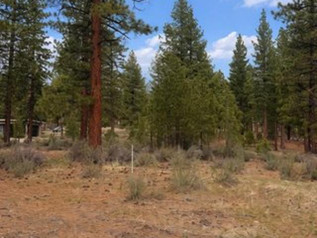 Land for sale in Carson City, Nevada