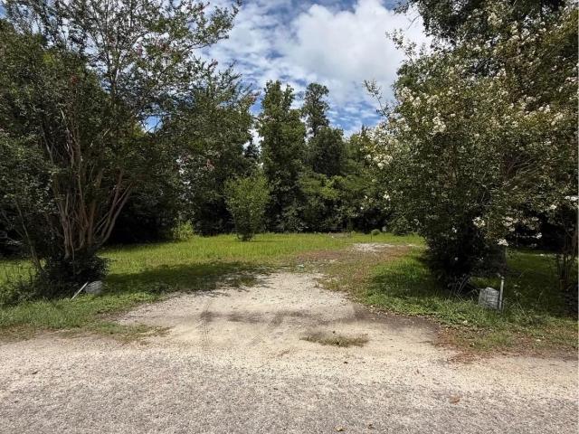 Land for sale in Hemingway, South Carolina
