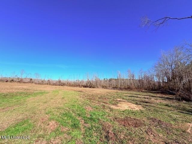 Land for sale in Tylertown, Mississippi