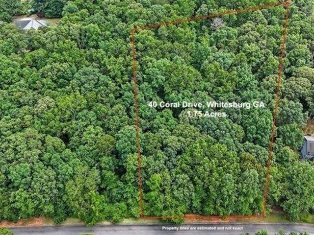Land for sale in Whitesburg, Georgia