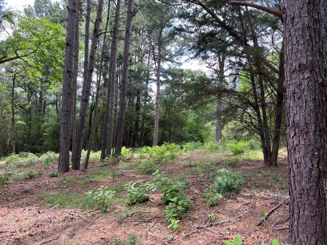 Property for sale in Grimes, Texas