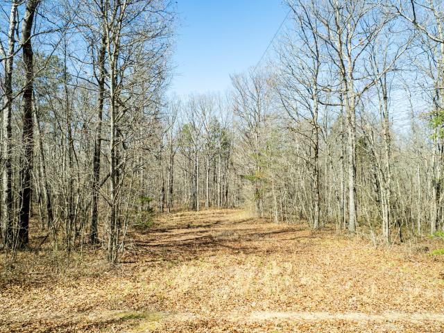 Land for sale in Henagar, Alabama