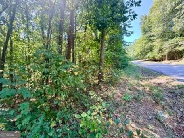 Land for sale in Toccoa, Georgia