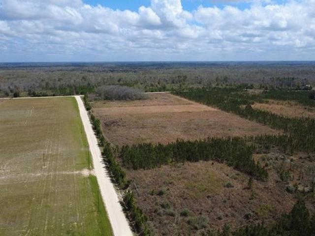 Land for sale in Kinard, Florida