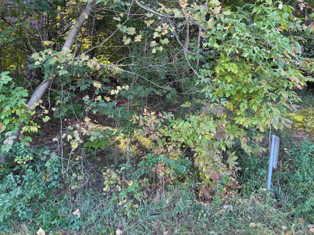 Land for sale in Lake Leelanau, Michigan