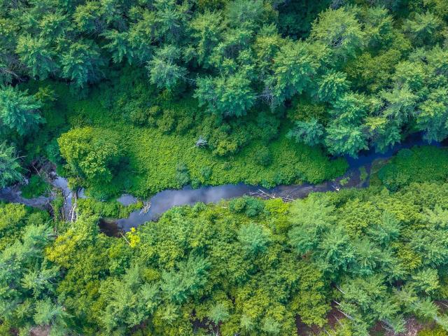 Land for sale in Putney, Vermont