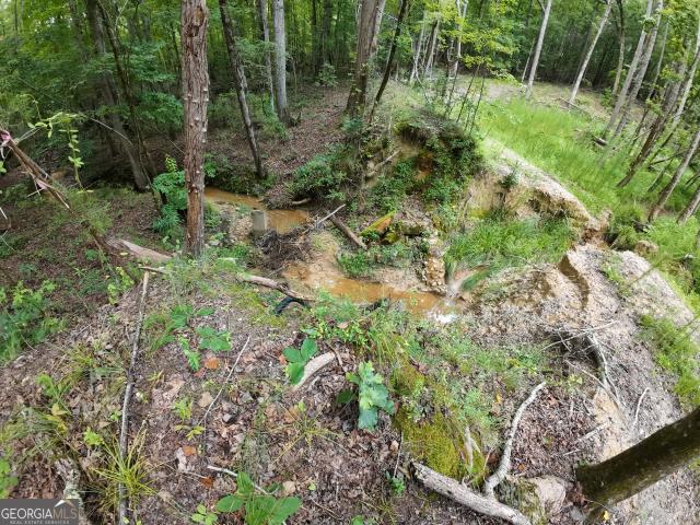Land for sale in Lagrange, Georgia