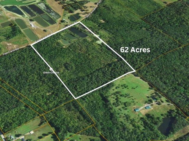Land for sale in Golconda, Illinois