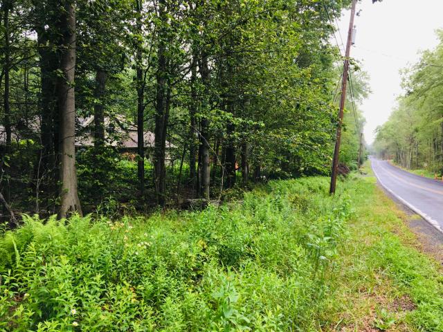 Land for sale in Blakeslee, Pennsylvania