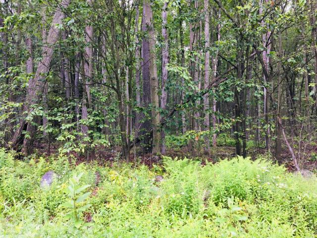 Land for sale in Blakeslee, Pennsylvania
