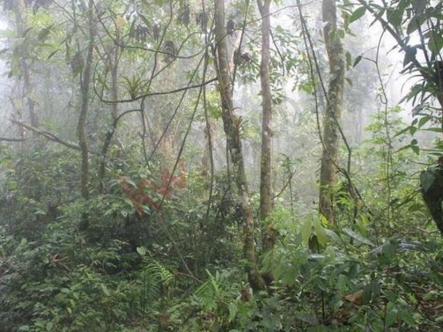 Terreno en venta en San Fernando, Chiapas