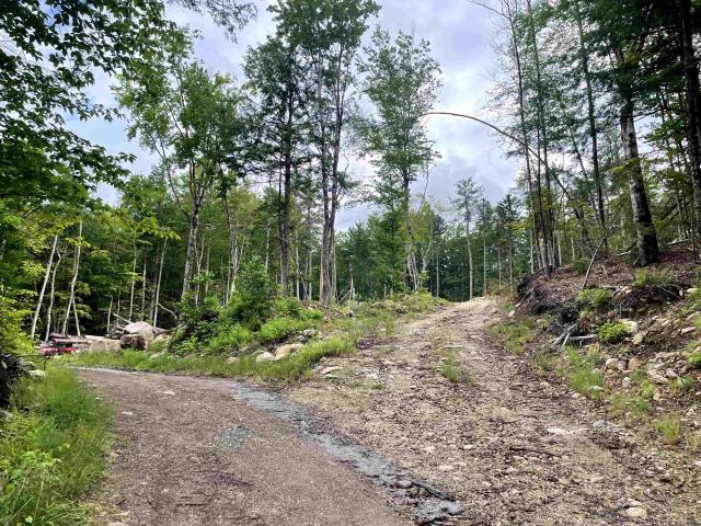 Land for sale in New Hampshire