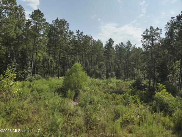 Land for sale in Oak Vale, Lawrence County