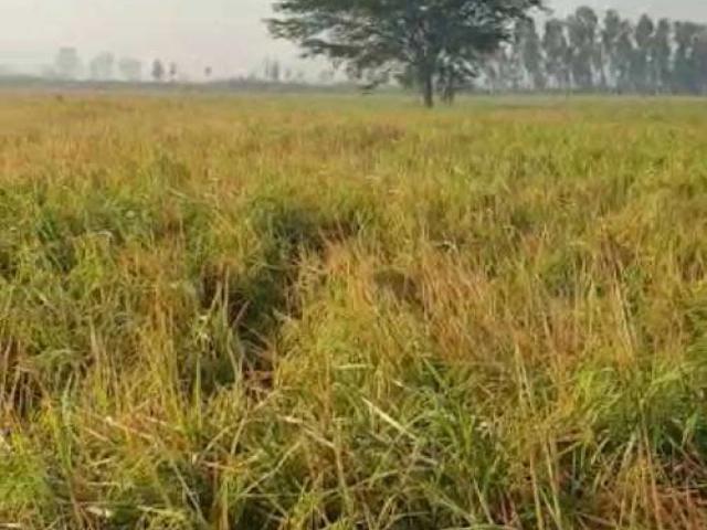 Land for sale in Rawalpindi, Islamabad Capital Territory