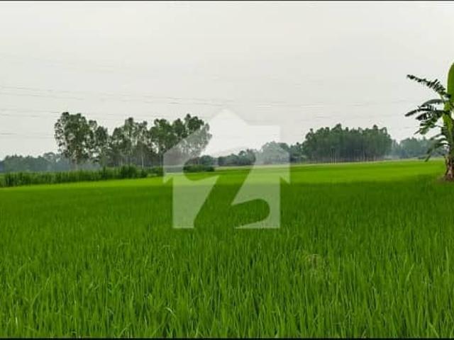 Land for sale in Kasur, Islamabad Capital Territory