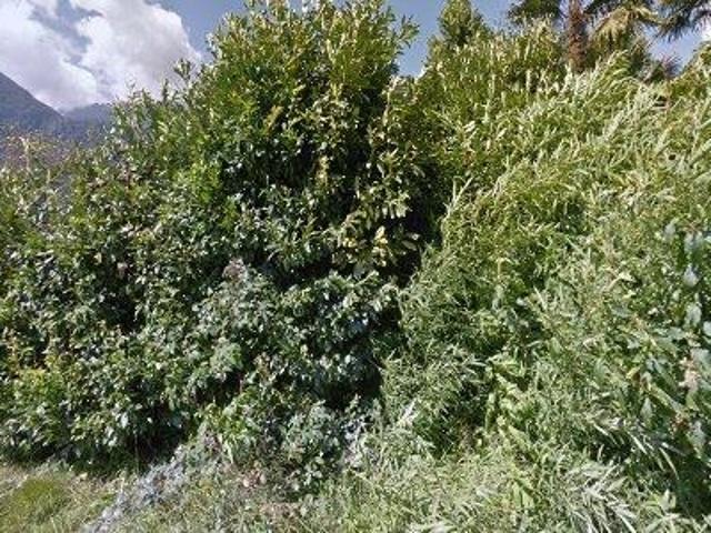 Apartment mieten in Cresciano, Tessin