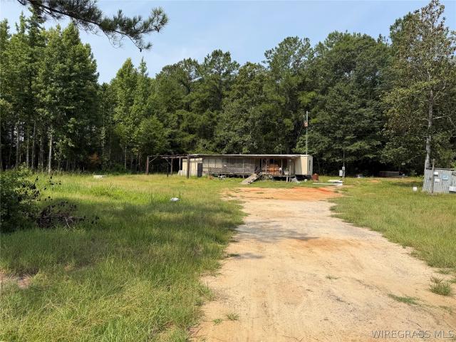 Land for sale in Dale, Alabama