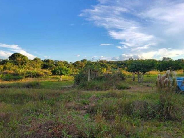 Sítio e chácara venda em Região Geográfica Imediata de Flores de Goiás, Alto Paraíso de Goiás