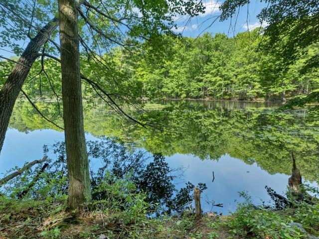 Land for sale in New Hampshire
