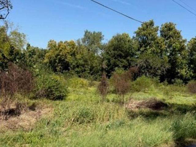 Land for sale in Clinton, Henry County
