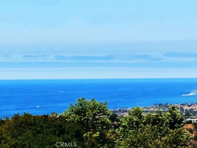 House for sale in San Clemente, California