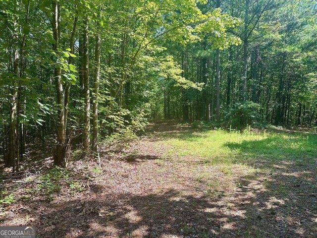 Land for sale in Dahlonega, Georgia