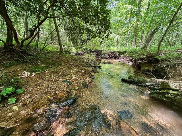Land for sale in Dahlonega, Georgia