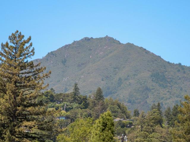 Condo for sale in Corte Madera