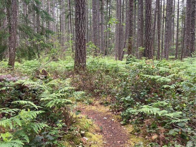 Land for sale in Hoodsport, Washington