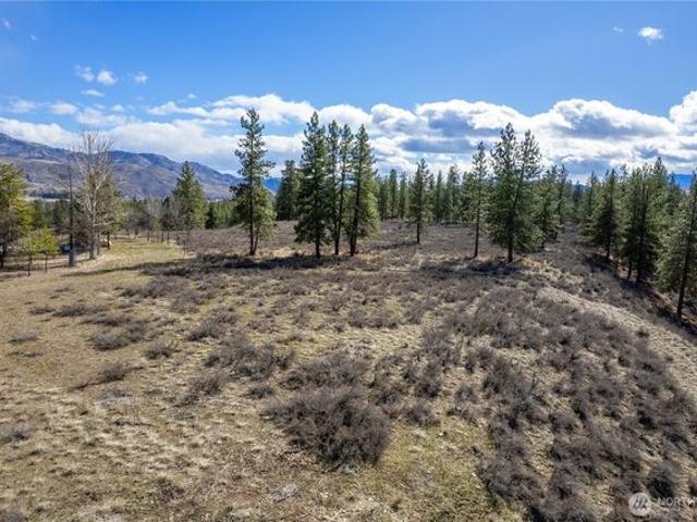 Land for sale in Winthrop, Washington